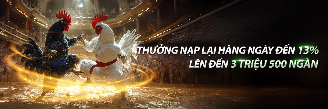 Đá gà kịch tính tại nohu 52 nhà cái